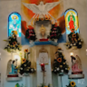 Meet your Posher, Faby